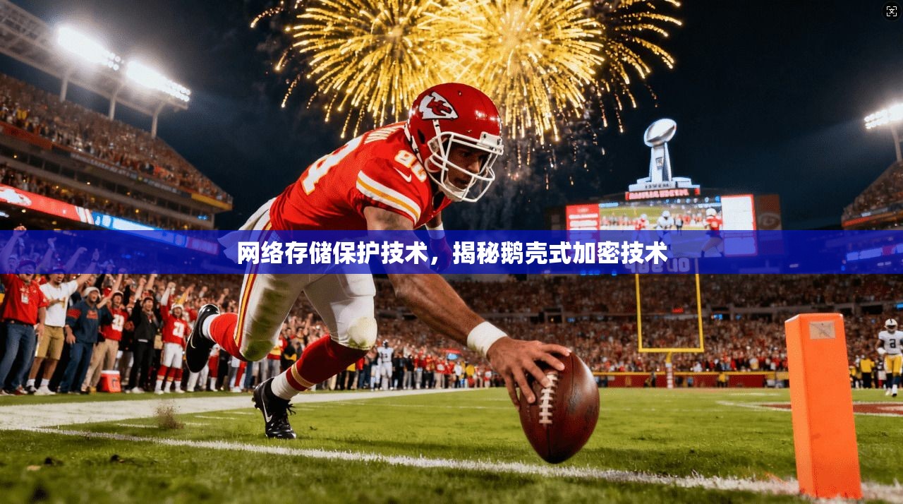 网络存储保护技术，揭秘鹅壳式加密技术