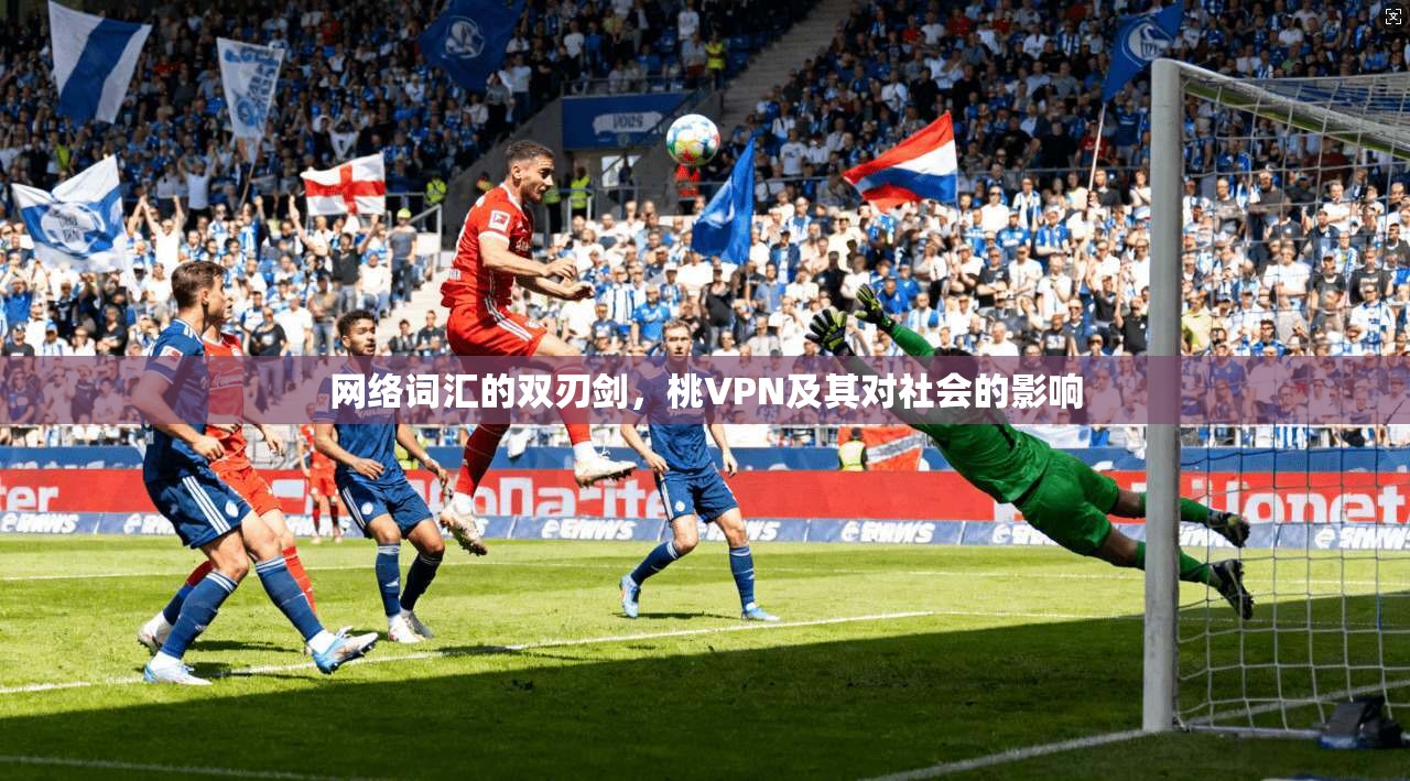 网络词汇的双刃剑，桃VPN及其对社会的影响