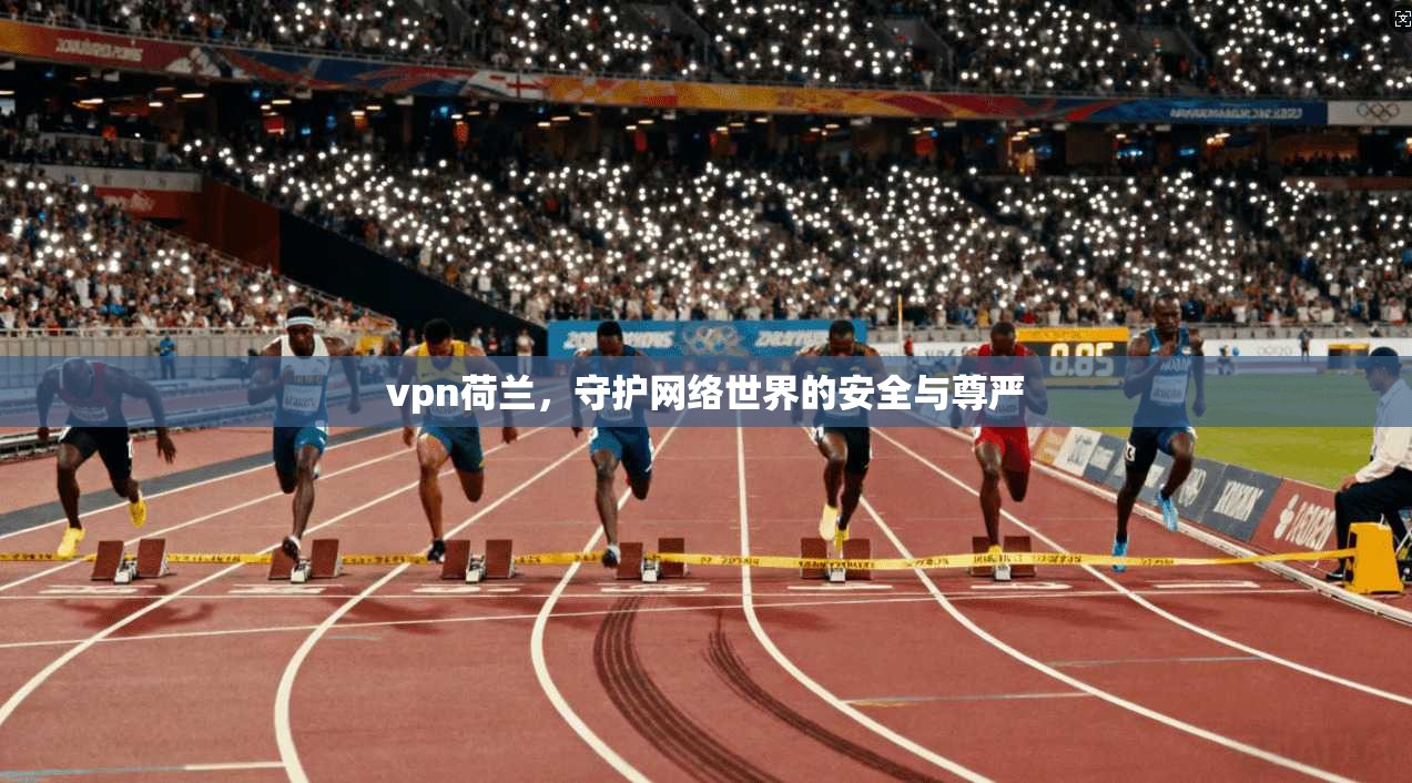 vpn荷兰，守护网络世界的安全与尊严