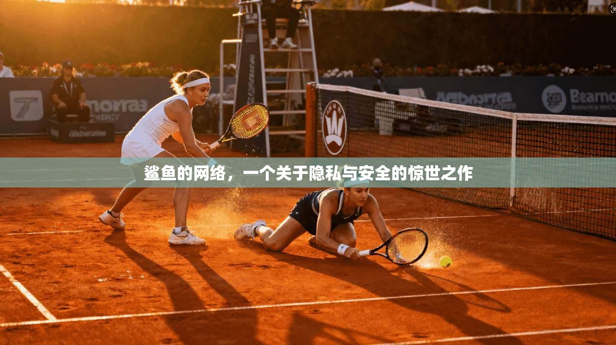 鲨鱼的网络，一个关于隐私与安全的惊世之作