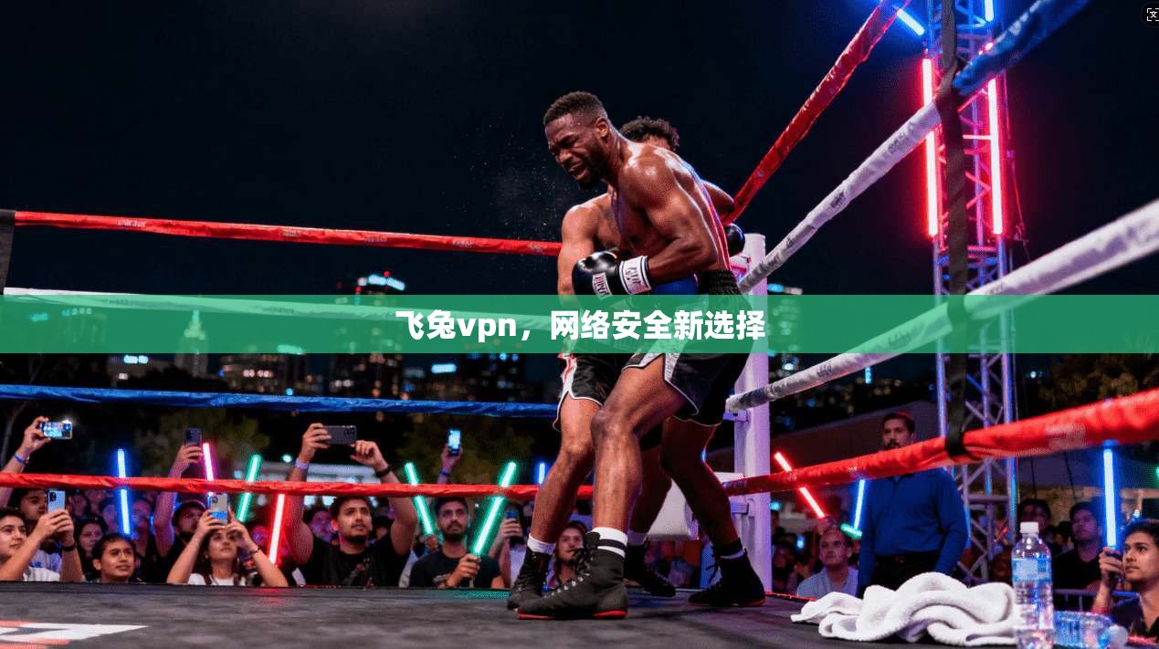 飞兔vpn，网络安全新选择