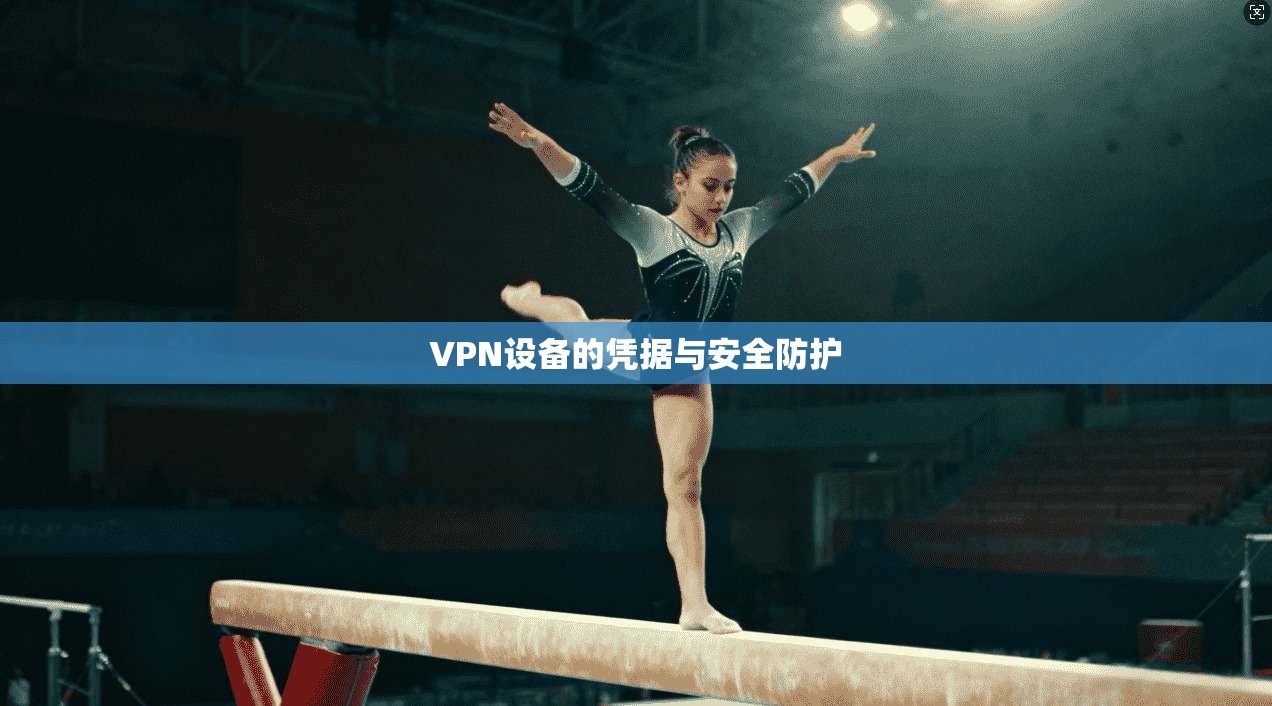 VPN设备的凭据与安全防护