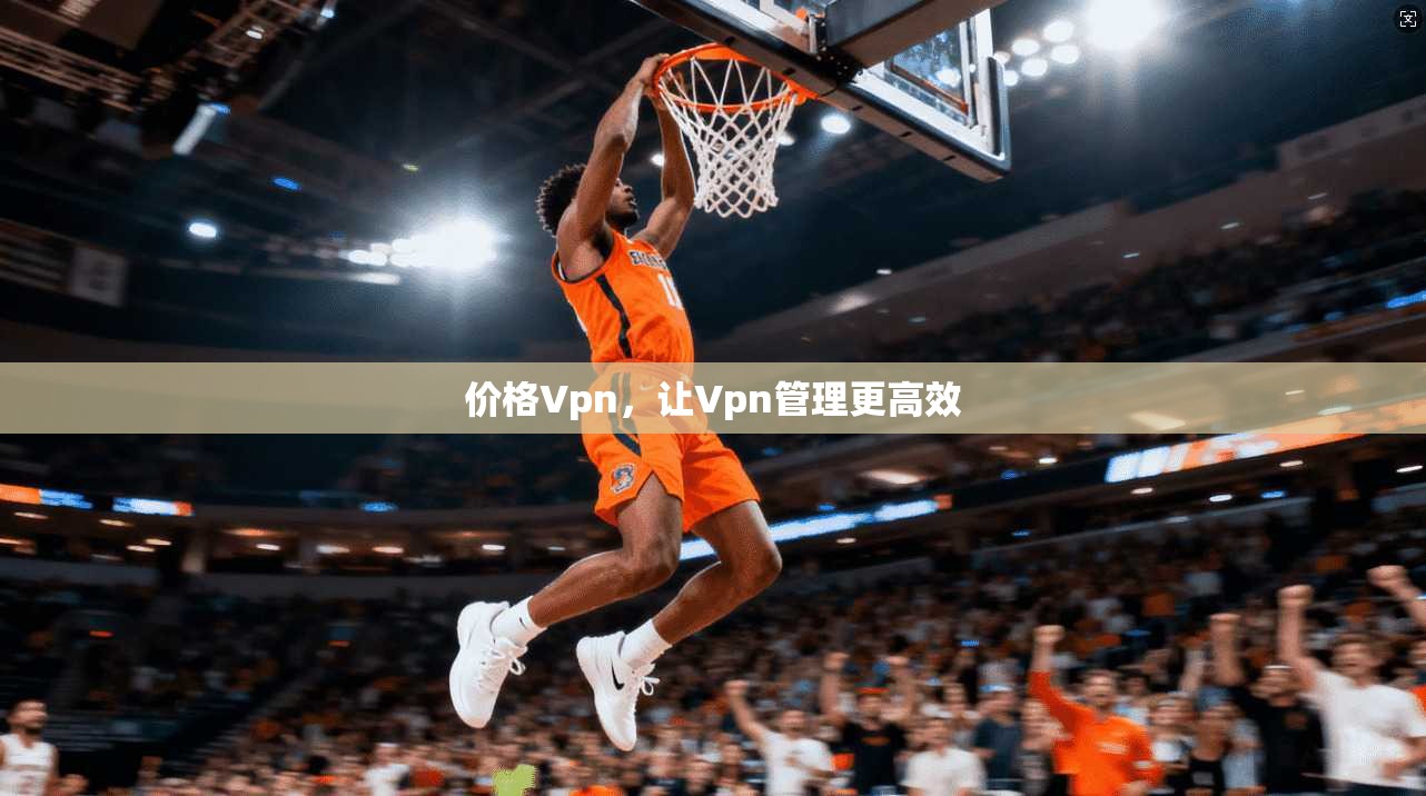 价格Vpn，让Vpn管理更高效