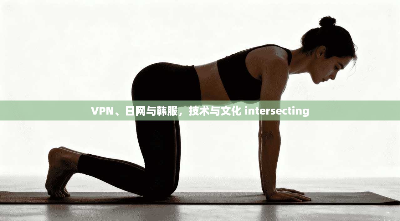 VPN、日网与韩服，技术与文化 intersecting