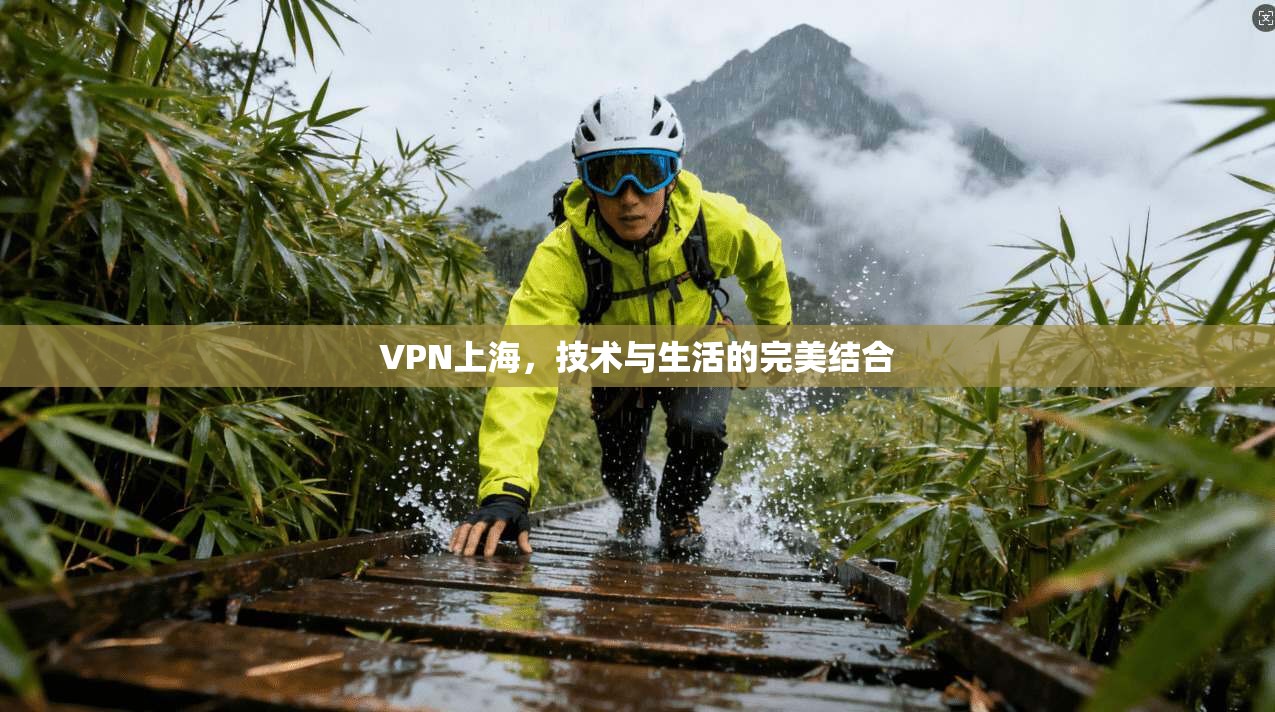 VPN上海，技术与生活的完美结合