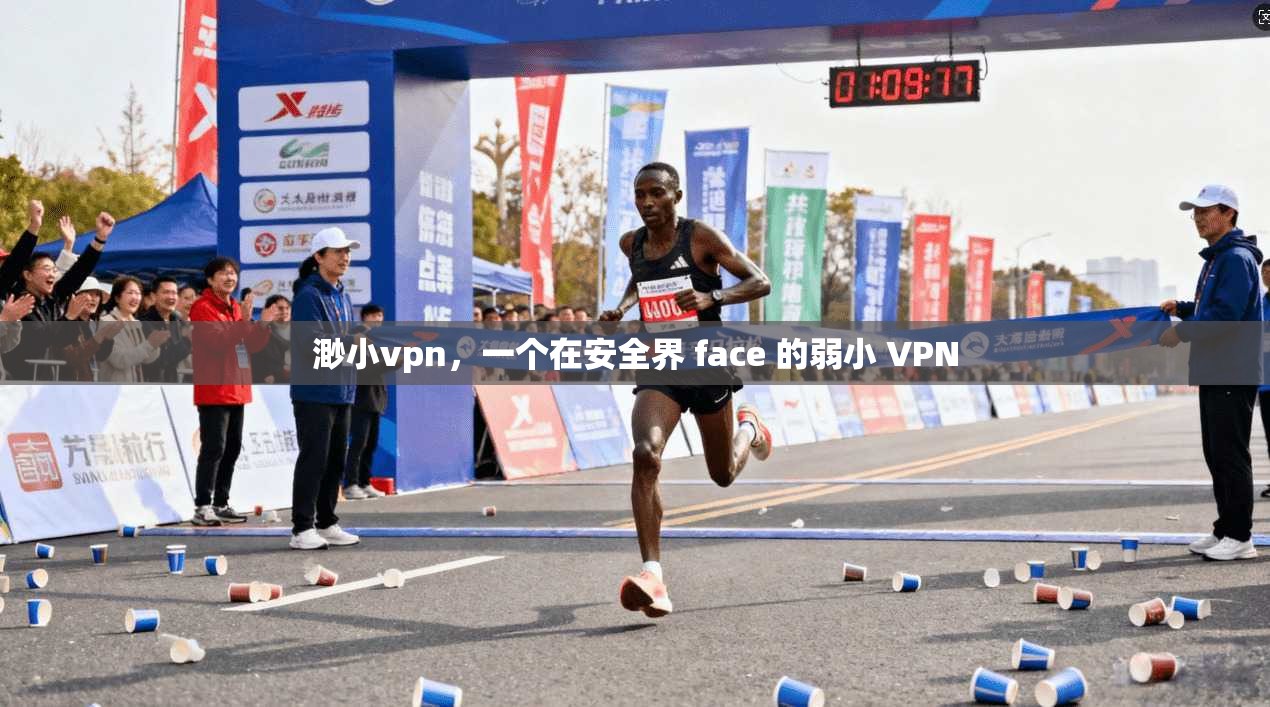 渺小vpn，一个在安全界 face 的弱小 VPN