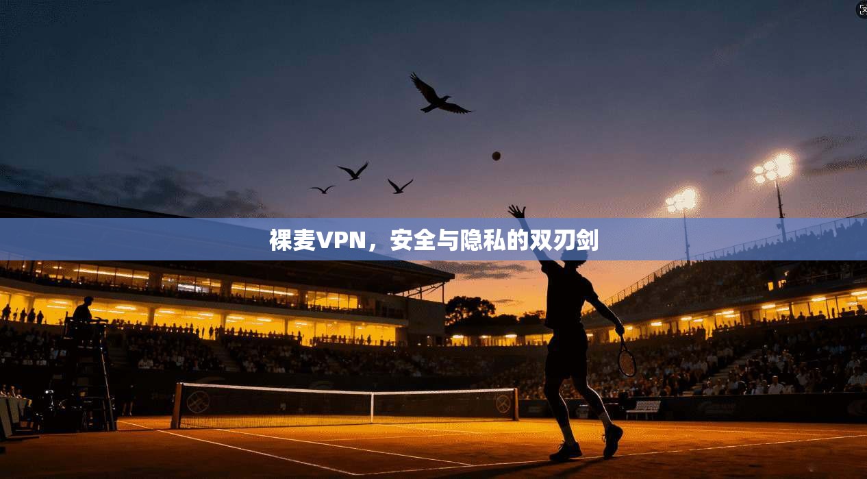 裸麦VPN，安全与隐私的双刃剑