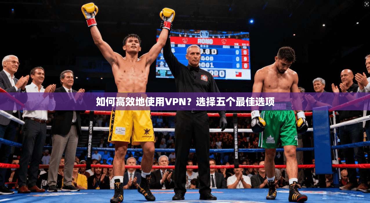 如何高效地使用VPN？选择五个最佳选项