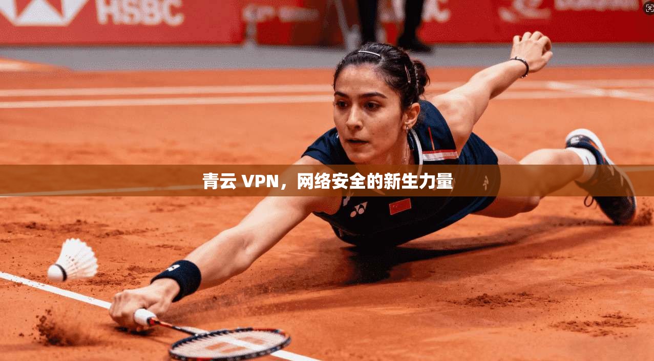 青云 VPN，网络安全的新生力量
