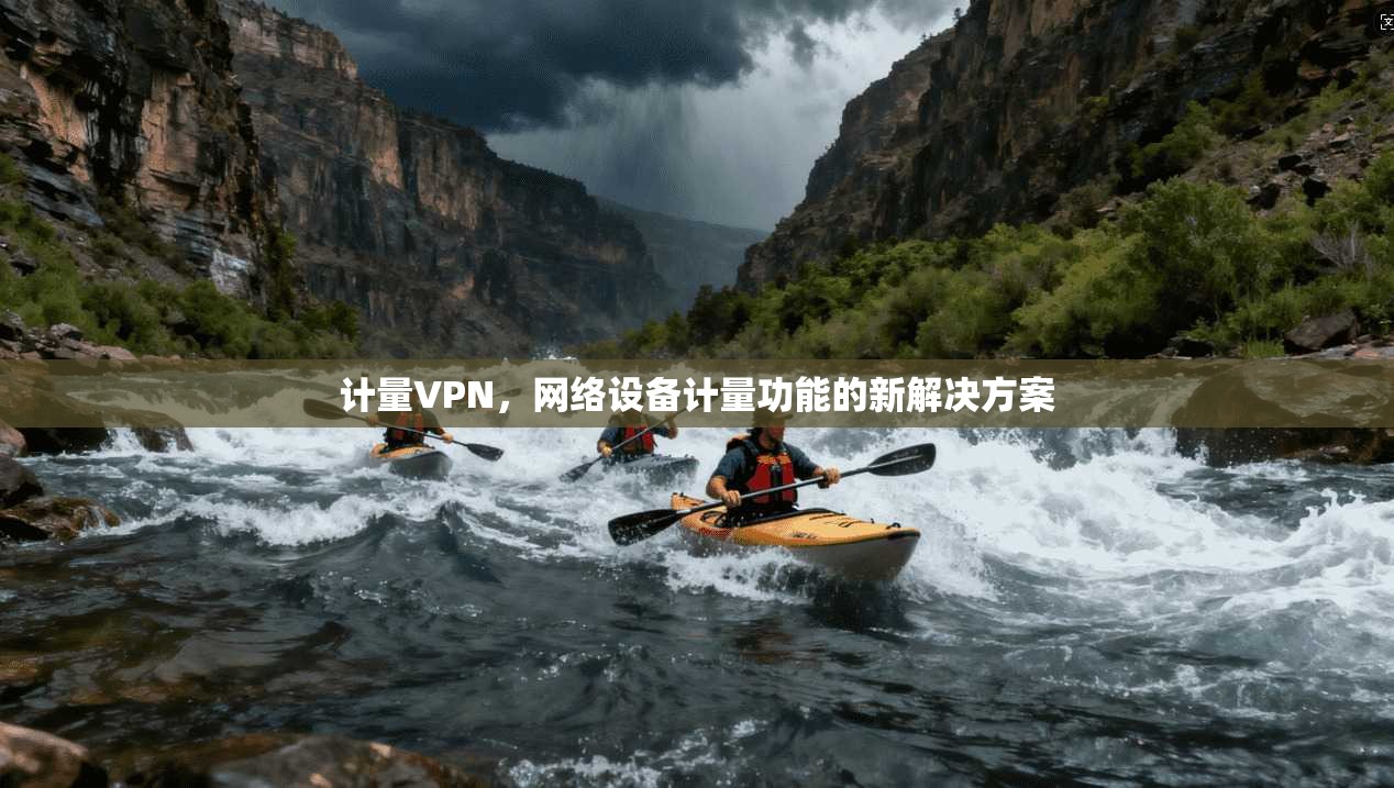 计量VPN，网络设备计量功能的新解决方案