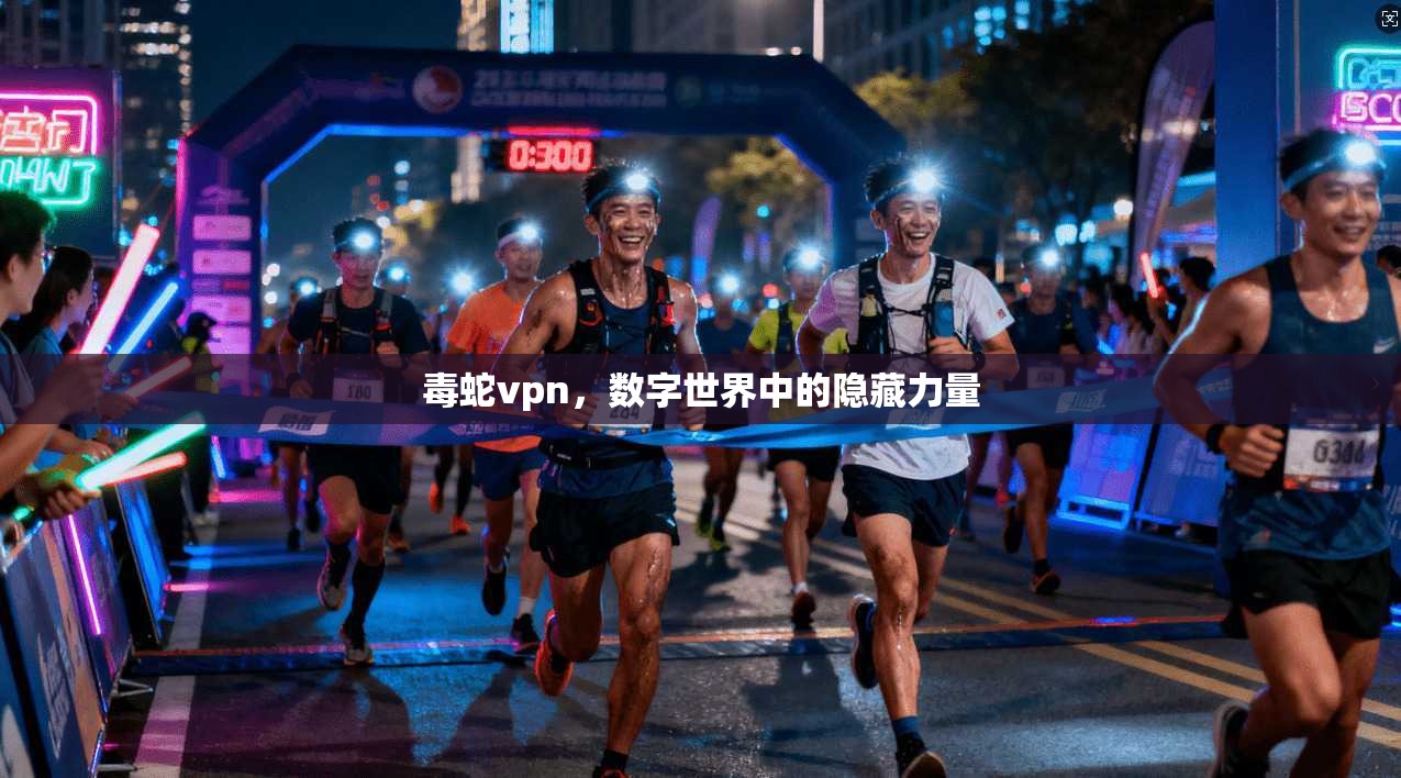 毒蛇vpn，数字世界中的隐藏力量
