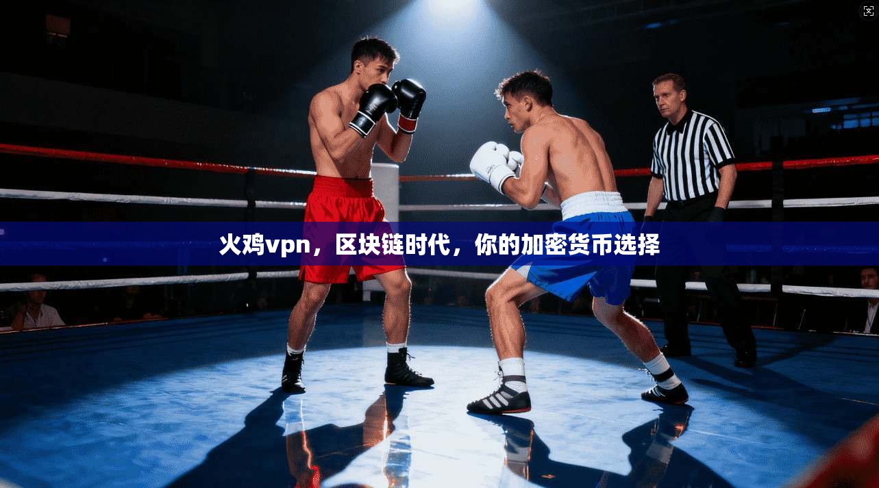 火鸡vpn，区块链时代，你的加密货币选择