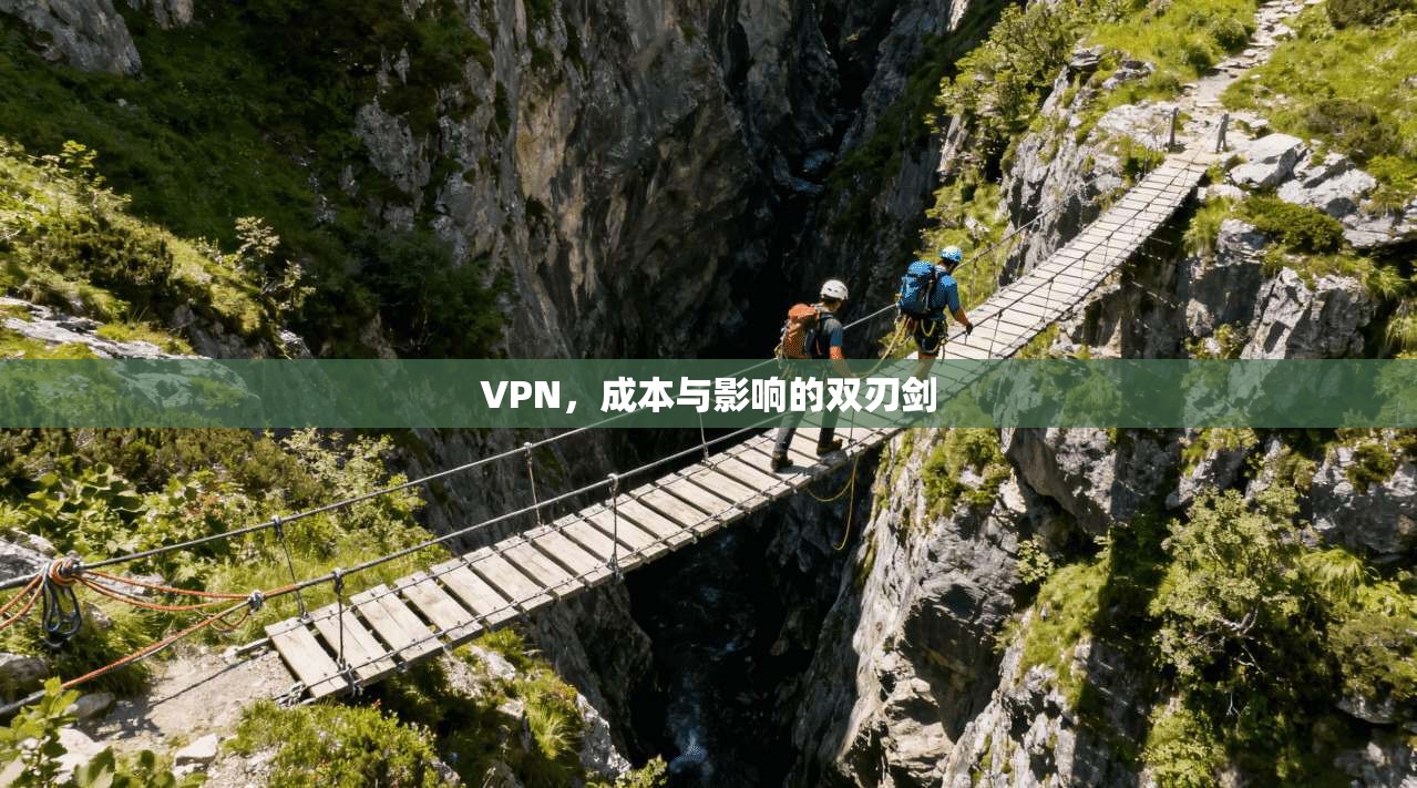 VPN，成本与影响的双刃剑