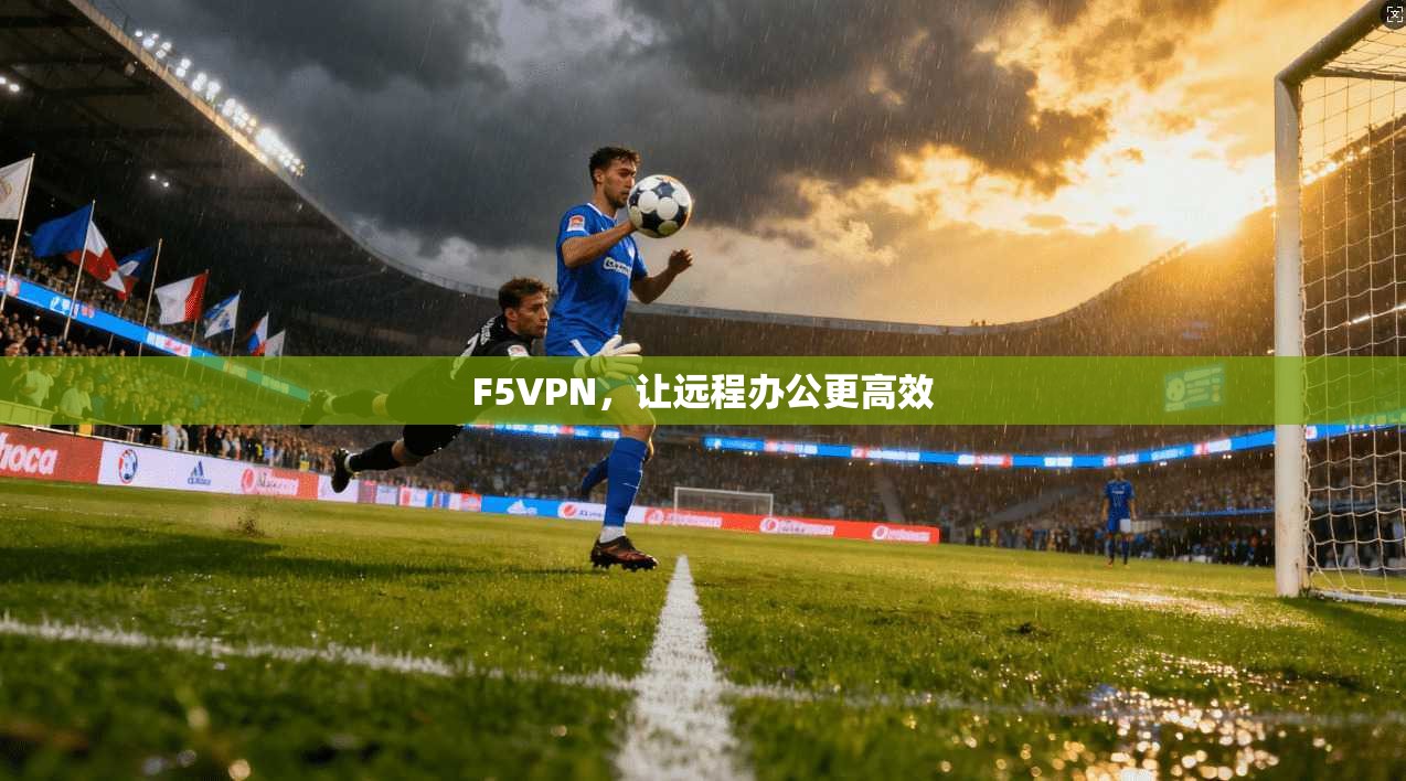 F5VPN，让远程办公更高效