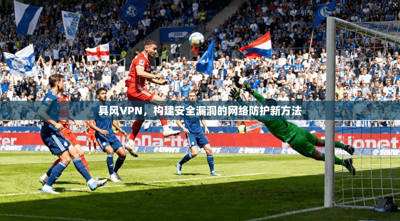 具风VPN，构建安全漏洞的网络防护新方法