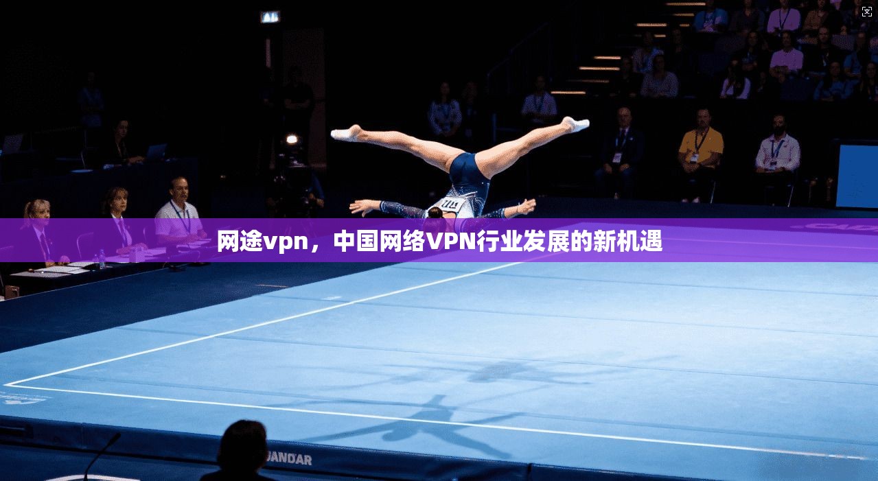 网途vpn，中国网络VPN行业发展的新机遇