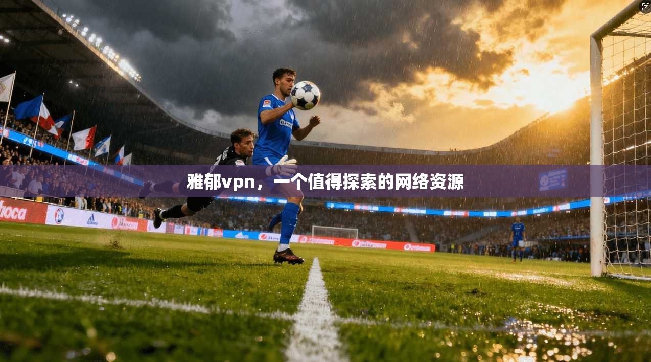 雅郁vpn，一个值得探索的网络资源
