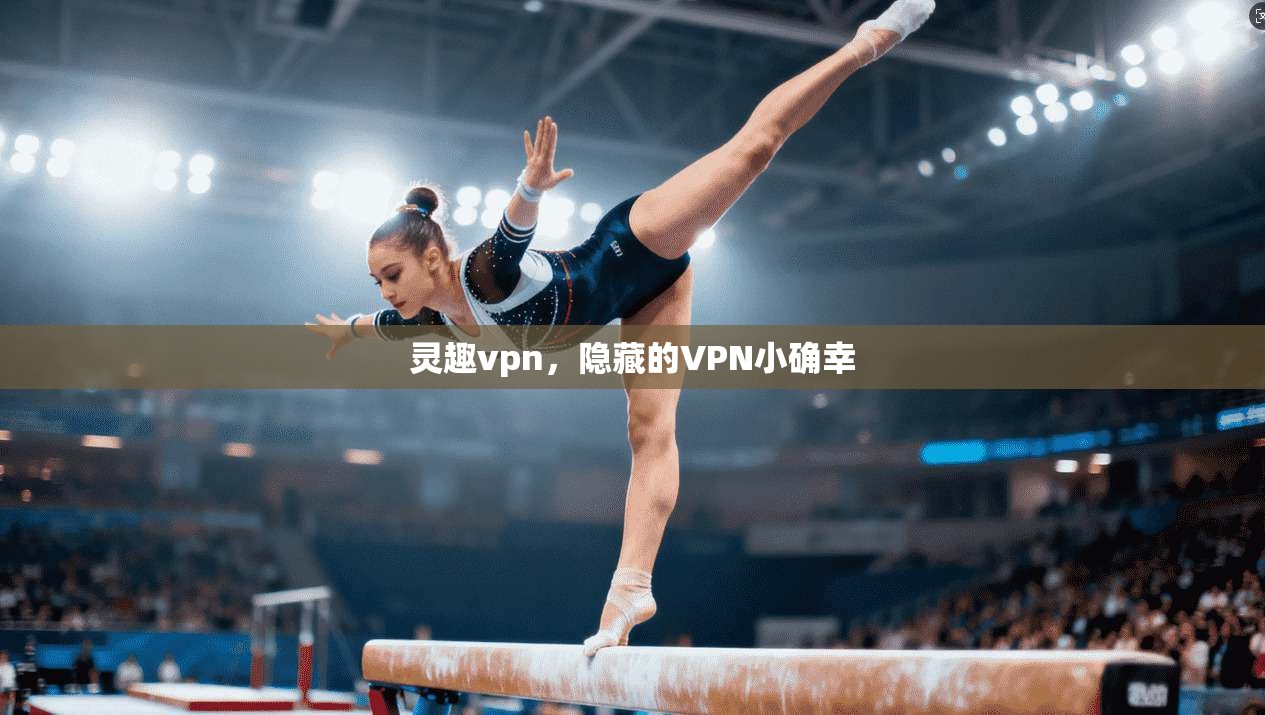 灵趣vpn，隐藏的VPN小确幸