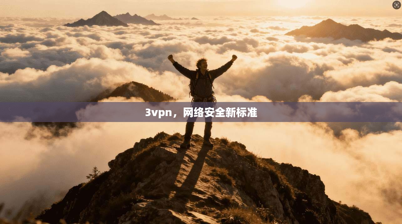 3vpn，网络安全新标准