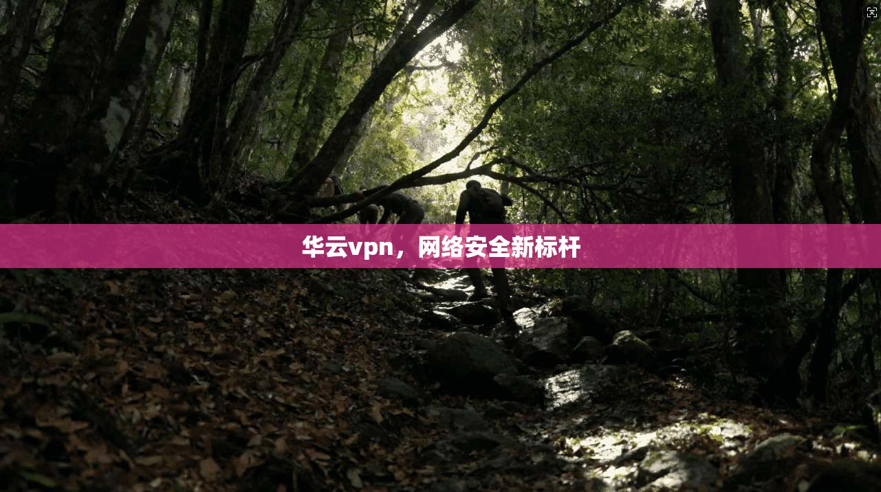 华云vpn，网络安全新标杆