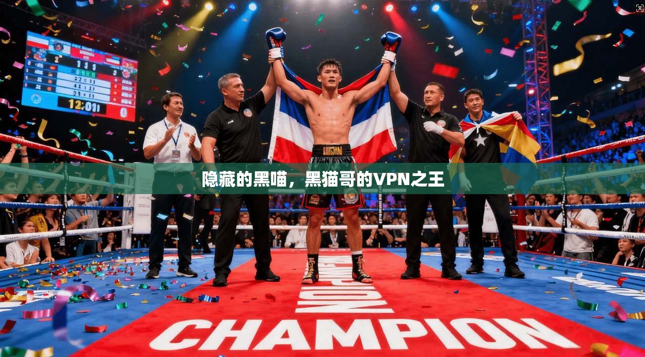 隐藏的黑喵，黑猫哥的VPN之王