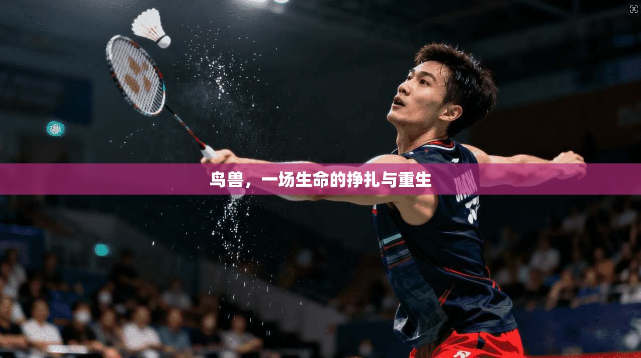鸟兽，一场生命的挣扎与重生