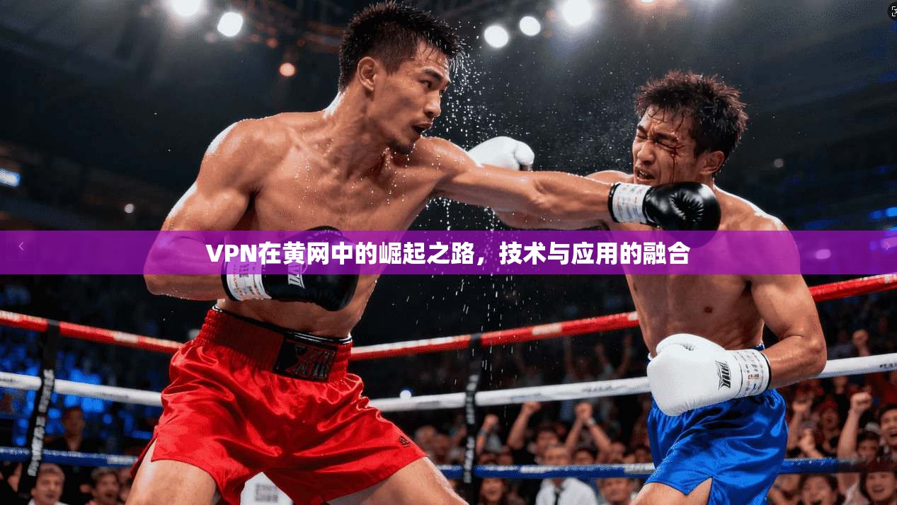 VPN在黄网中的崛起之路，技术与应用的融合