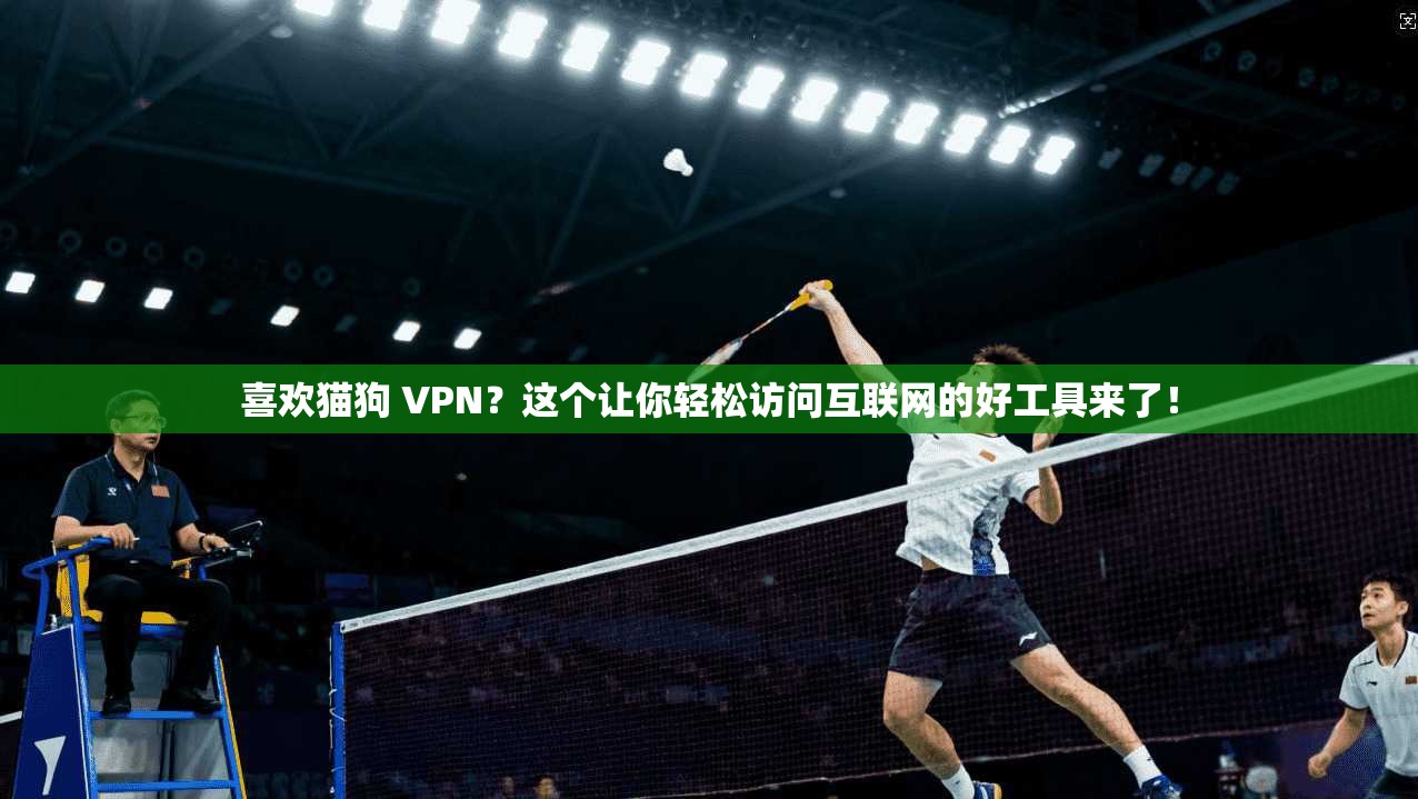 喜欢猫狗 VPN？这个让你轻松访问互联网的好工具来了！