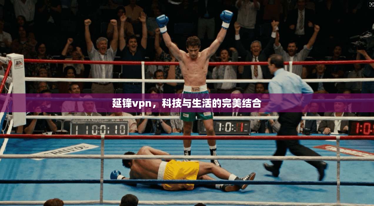 延锋vpn，科技与生活的完美结合