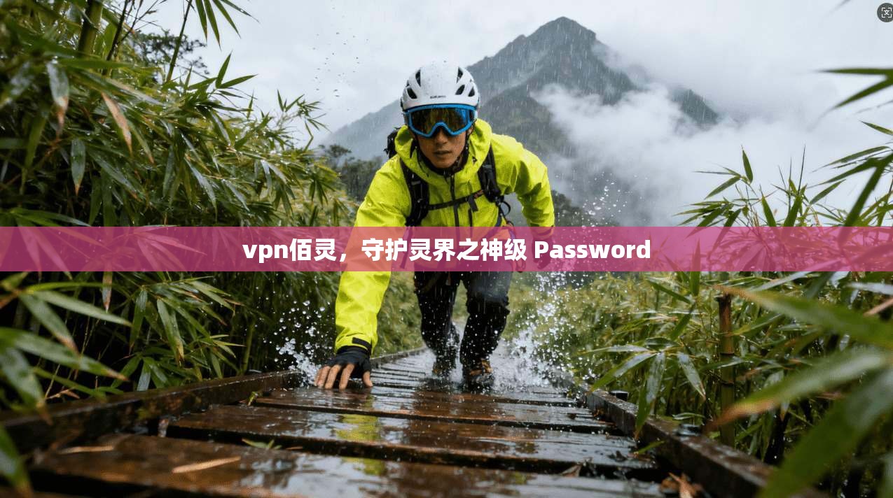vpn佰灵，守护灵界之神级 Password  第1张