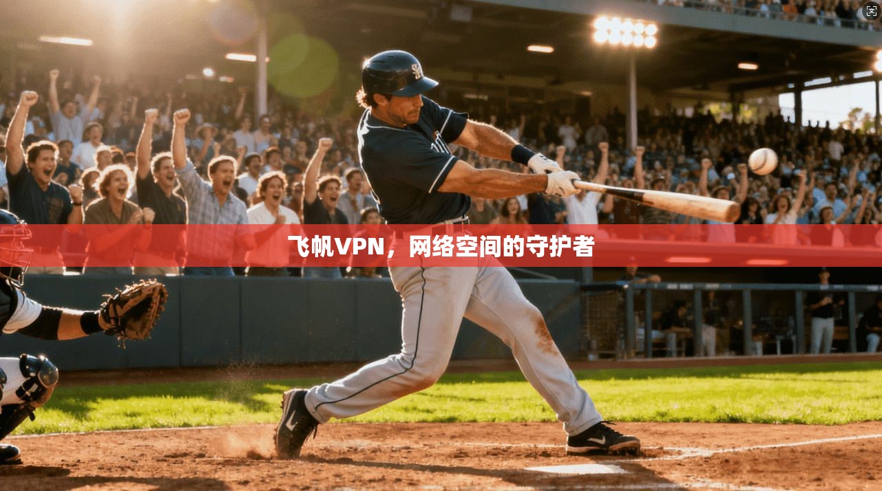 飞帆VPN，网络空间的守护者  第1张