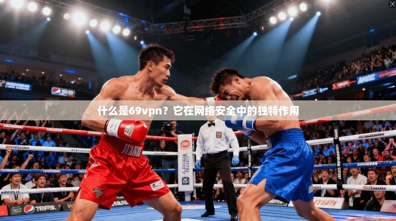 什么是69vpn？它在网络安全中的独特作用