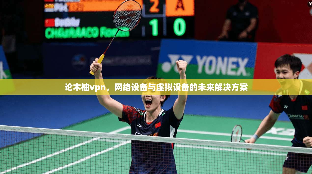 论木柚vpn，网络设备与虚拟设备的未来解决方案