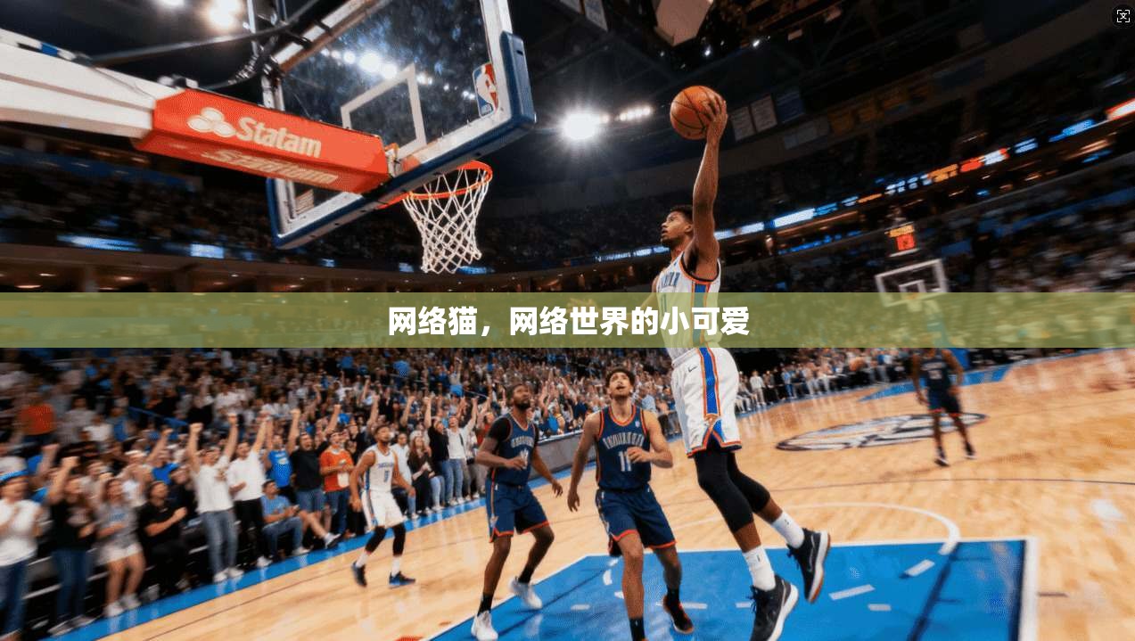 网络猫，网络世界的小可爱