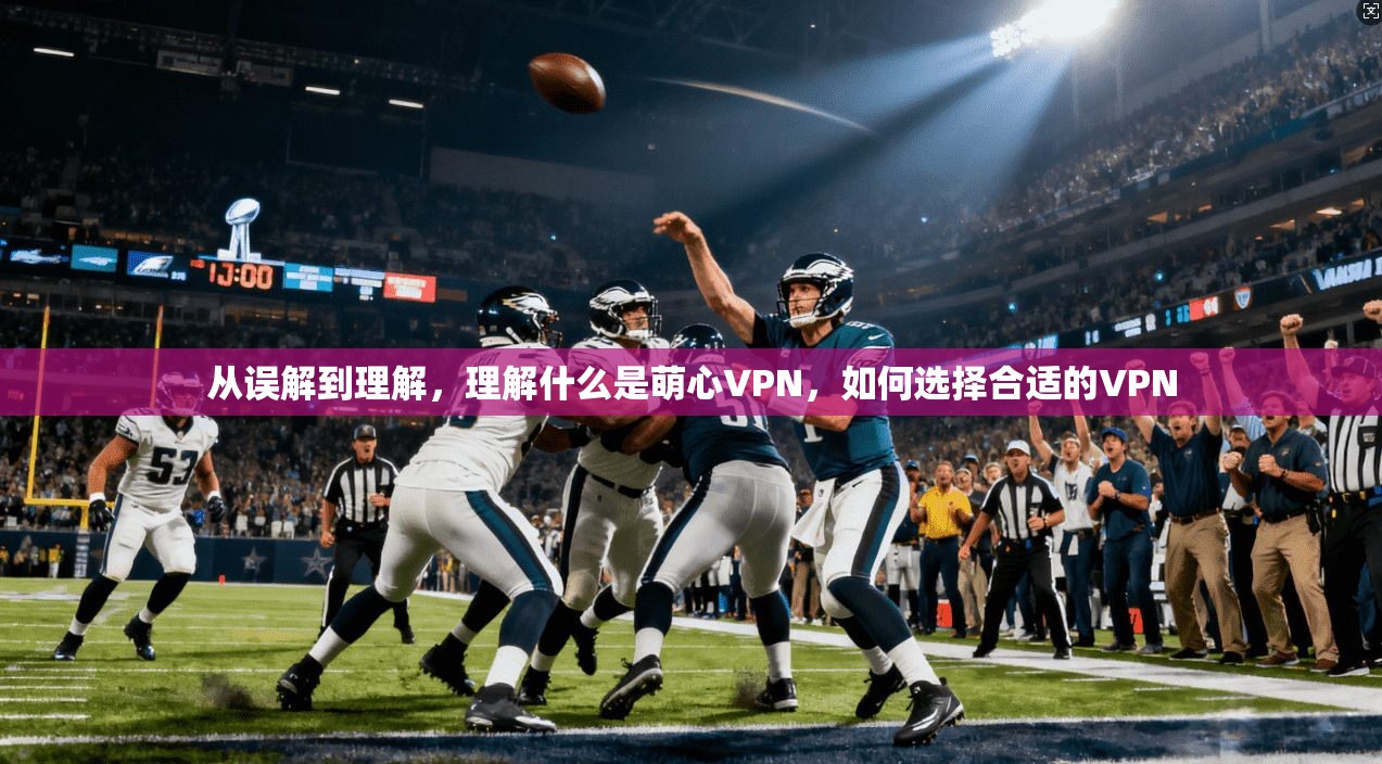 从误解到理解,理解什么是萌心VPN,如何选择合适的VPN 第1张 从误解到理解,理解什么是萌心VPN,如何选择合适的VPN 第1张