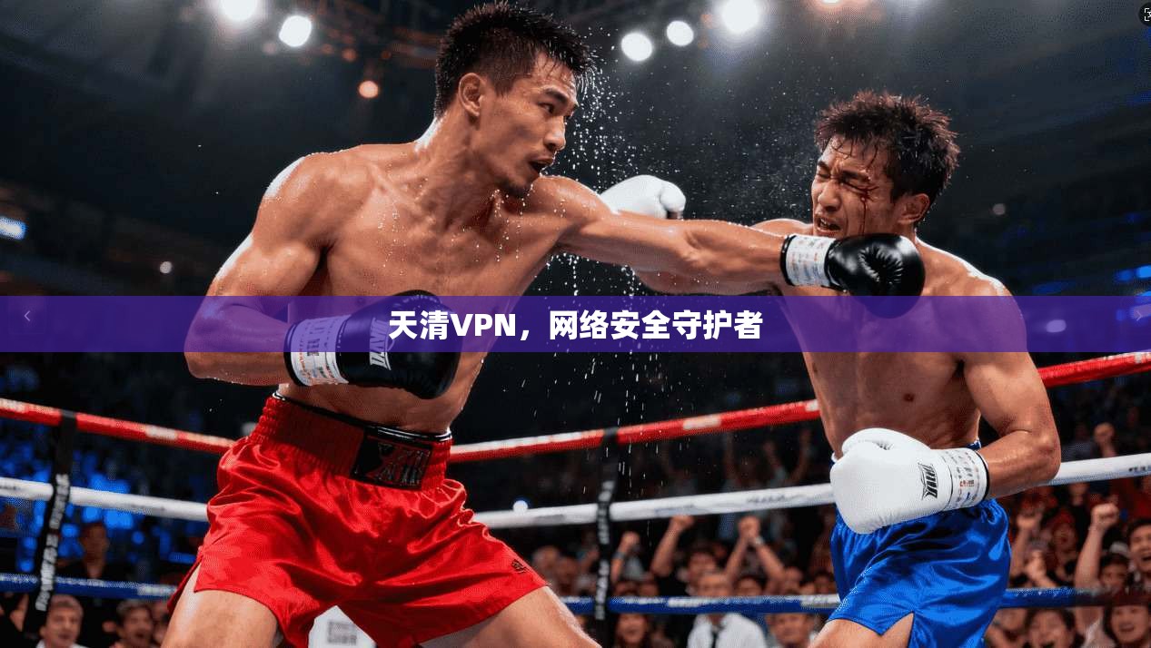天清VPN，网络安全守护者  第1张