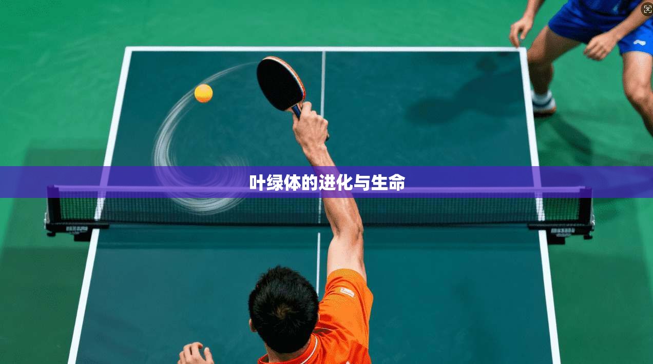 叶绿体的进化与生命