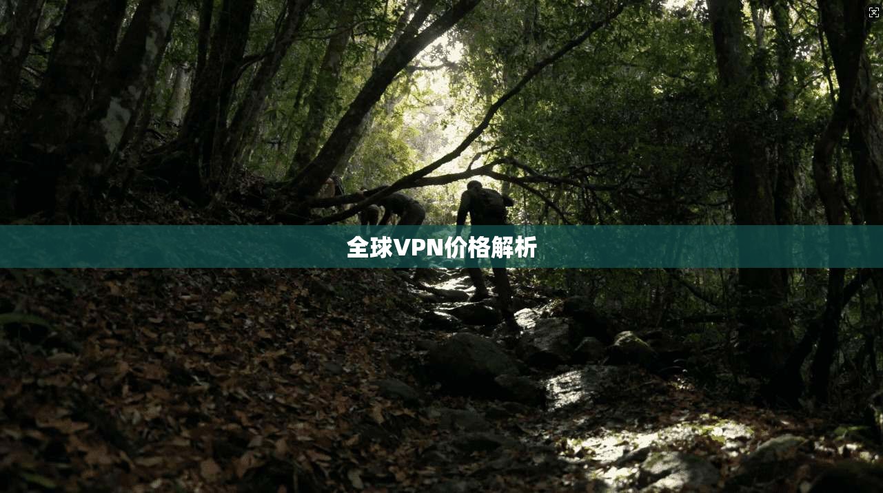 全球VPN价格解析