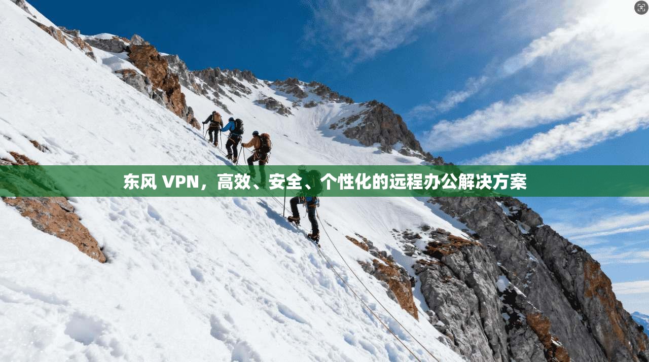 东风 VPN，高效、安全、个性化的远程办公解决方案