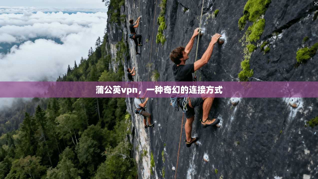 蒲公英vpn，一种奇幻的连接方式