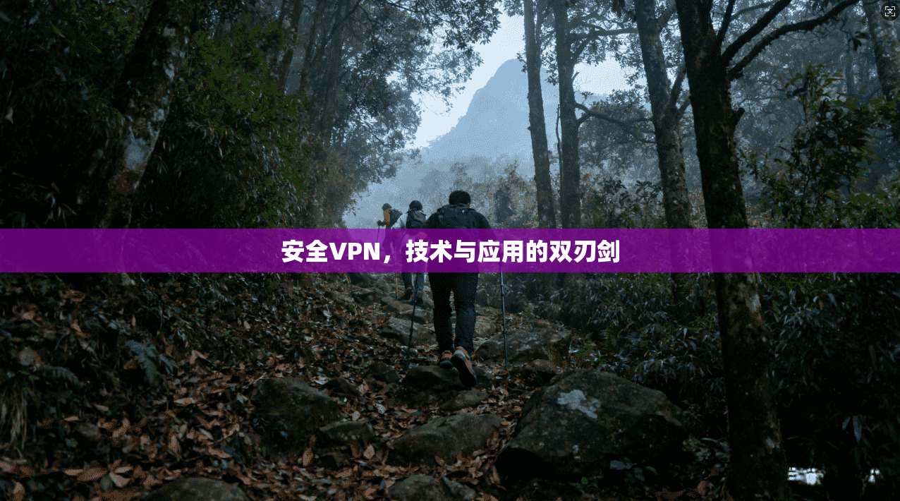 安全VPN，技术与应用的双刃剑