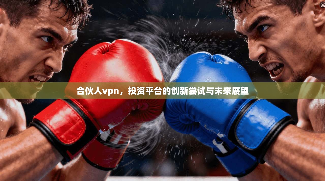 合伙人vpn，投资平台的创新尝试与未来展望