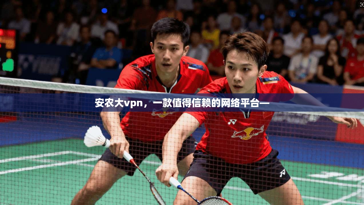 安农大vpn，一款值得信赖的网络平台—
