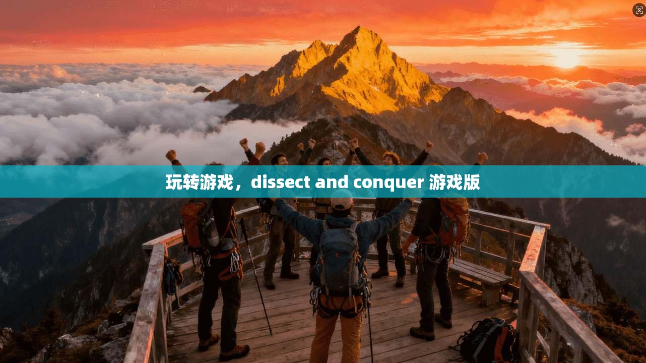 玩转游戏，dissect and conquer 游戏版