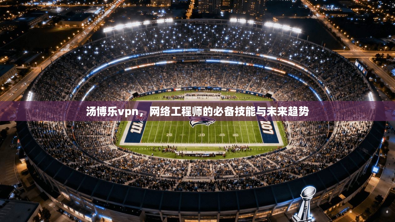 汤博乐vpn，网络工程师的必备技能与未来趋势