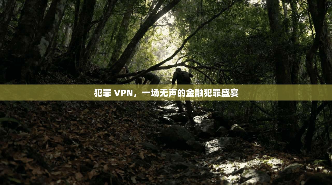 犯罪 VPN，一场无声的金融犯罪盛宴