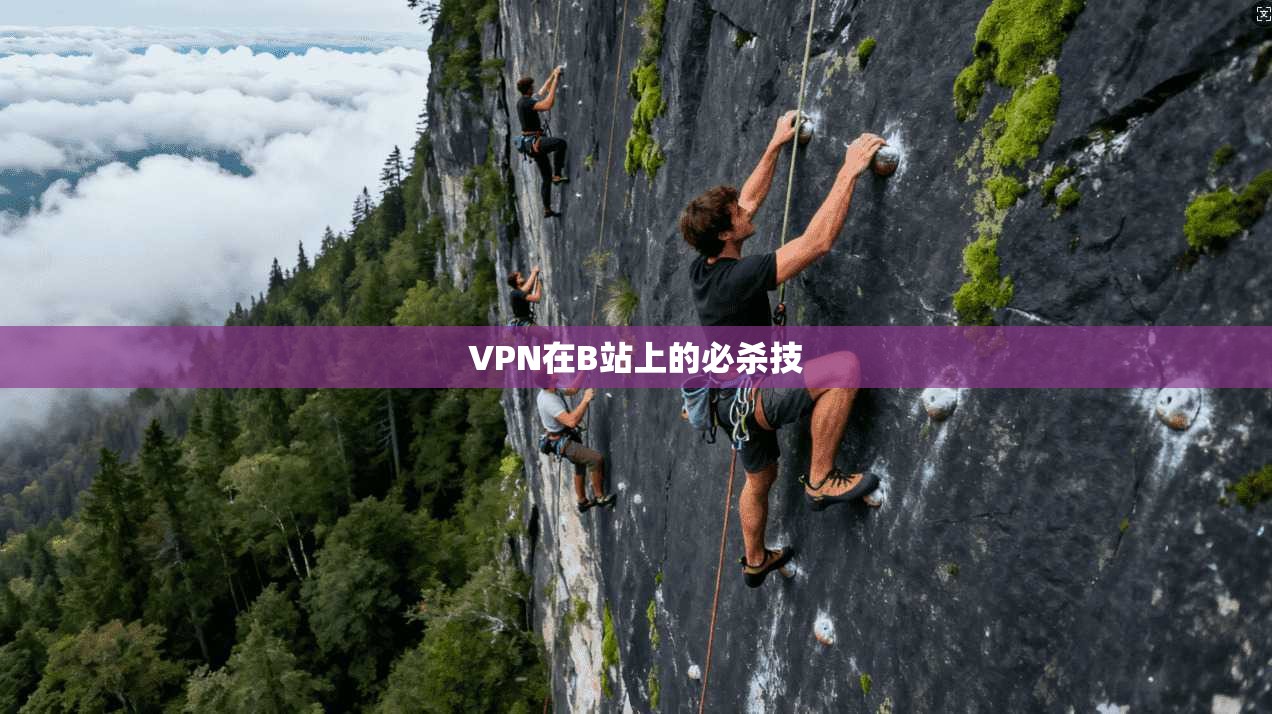 VPN在B站上的必杀技