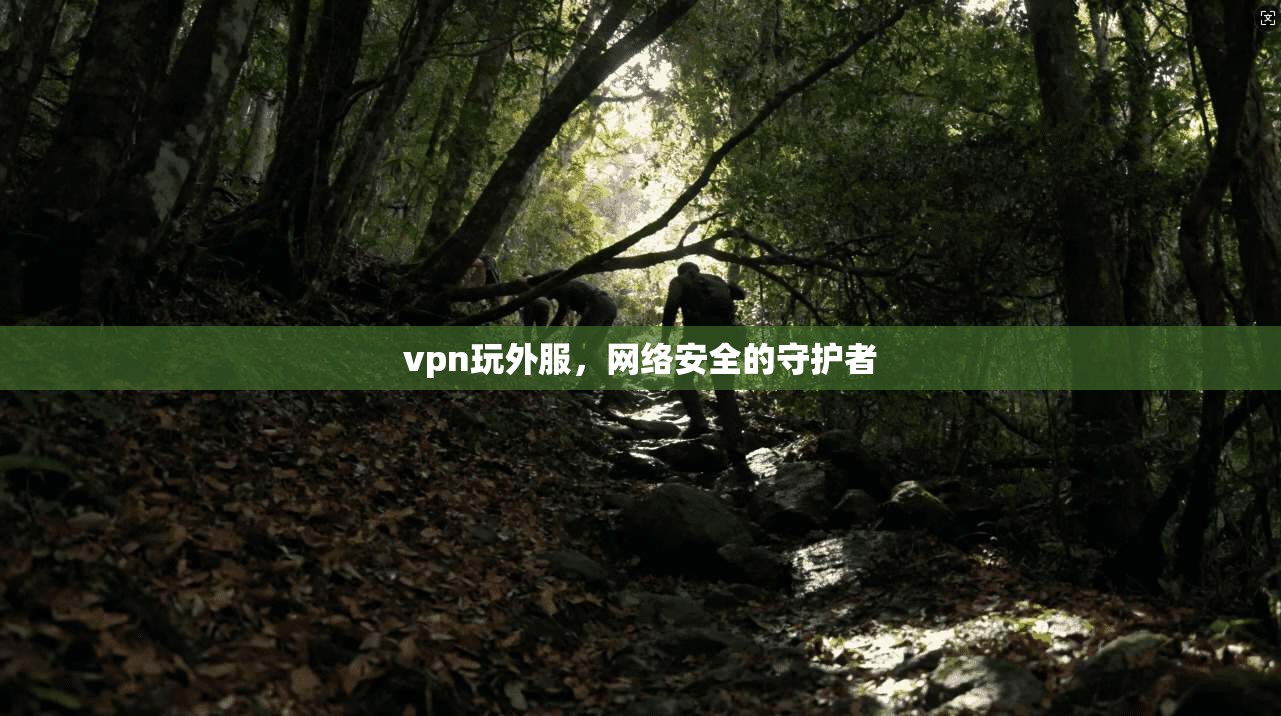 vpn玩外服，网络安全的守护者