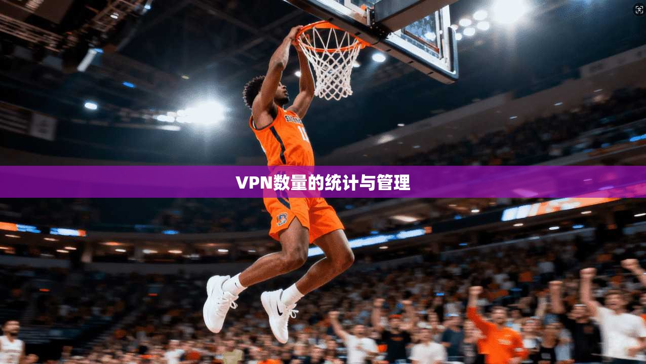 VPN数量的统计与管理
