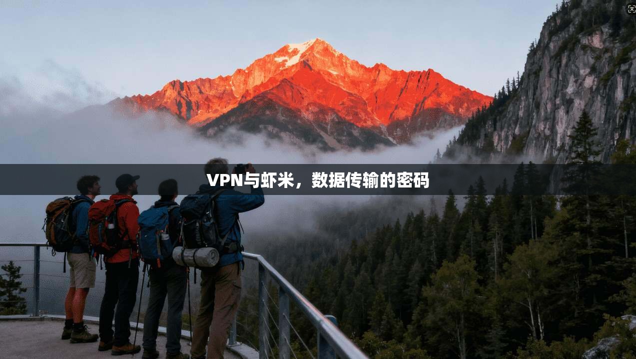 VPN与虾米，数据传输的密码